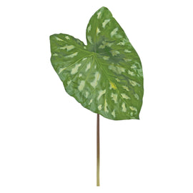 Caladiums - Wild Caladium Leaf 25" Caladium Leaf