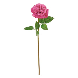 Natural Touch Cabbage Rose Fuchsia