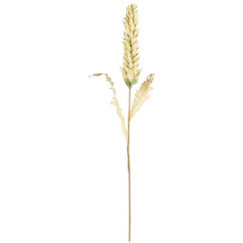 Millet Spray