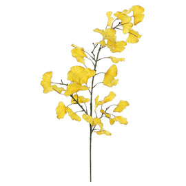 Gingko Leaf Branch