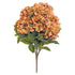Harvest Hydrangea Bush