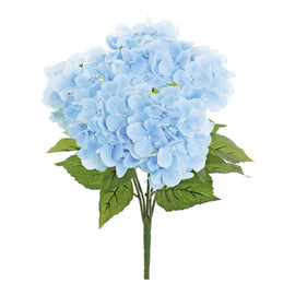 Baby Blue Hydrangea Bush