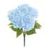 Baby Blue Hydrangea Bush