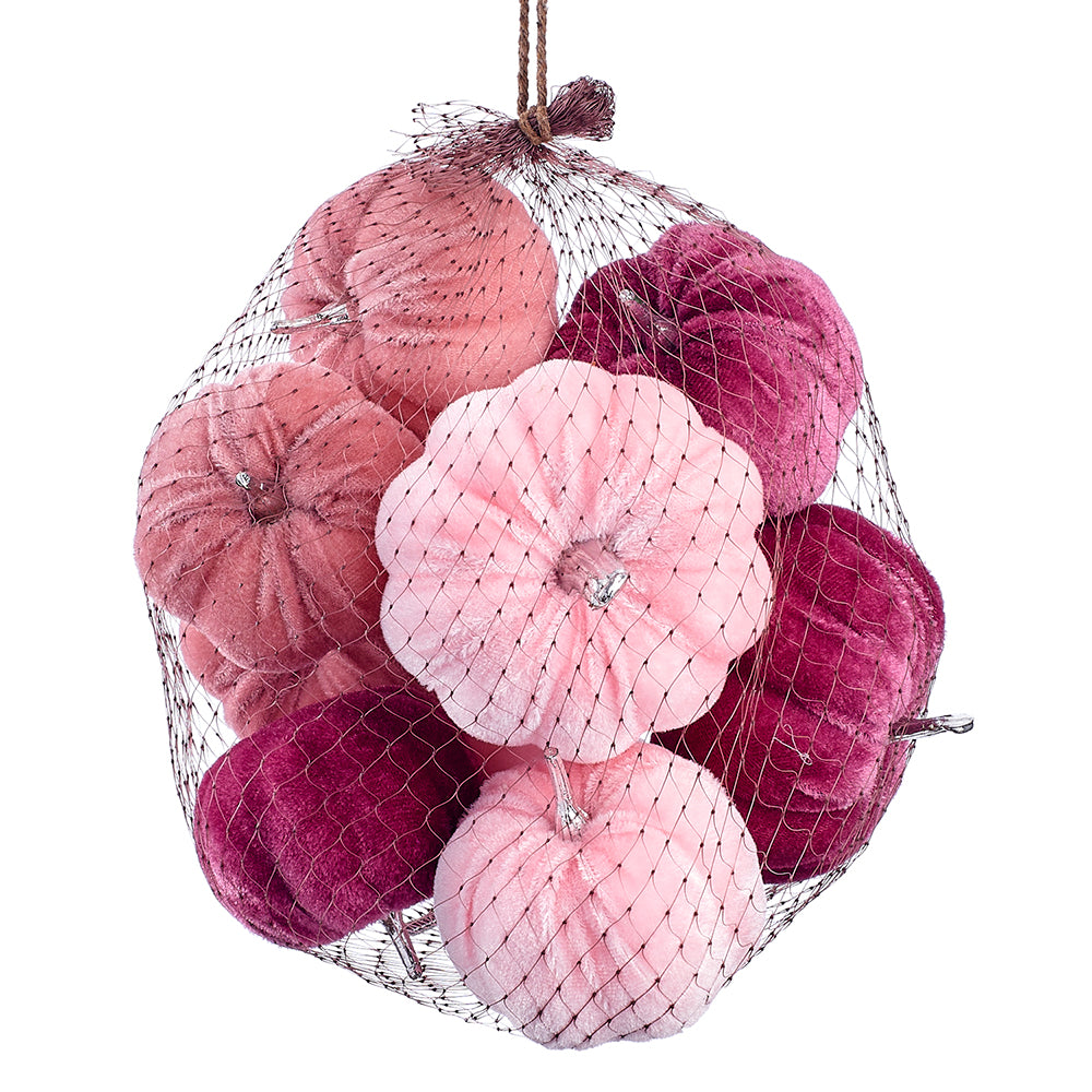 Velvet Pink Pumpkins