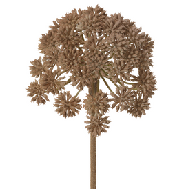 Garden Angelica Spray