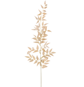 Champagne Velvet Italian Ruscus Spray