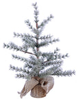 Mini Evergreen Tree