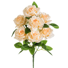 Soft Peach Rose Bush