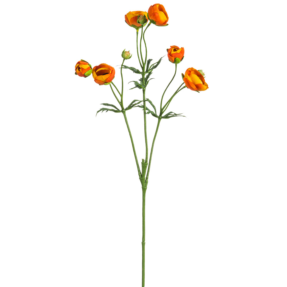 Orange Mini Ranunculus Spray