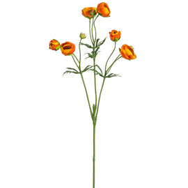 Orange Mini Ranunculus Spray