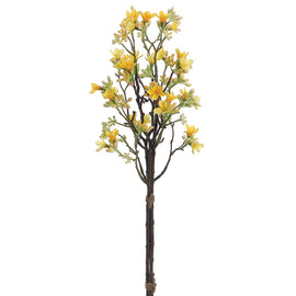 Yellow Heptacodium Bundle