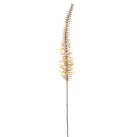 Amber Beaded Foxtail Spray
