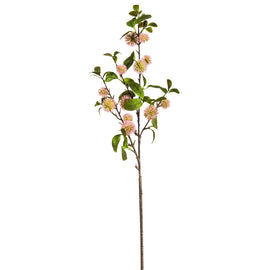 Flowering Tree Pod Spray