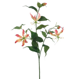 Gloriosa Spray