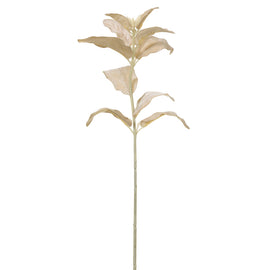 Champagne Velvet Lamb's Ear Branch