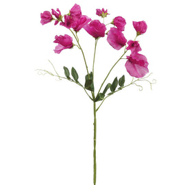 Pink Sweet Pea Spray