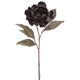 Black Beauty Peony Spray