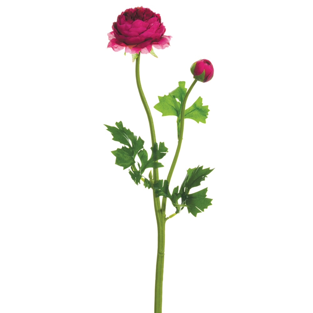 Red Ranunculus Spray