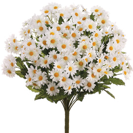 White Daisy Bouquet