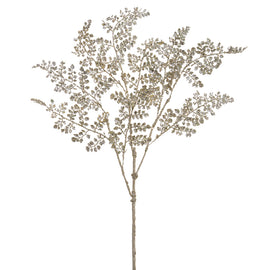 Glittering Maidenhair Tree Branch