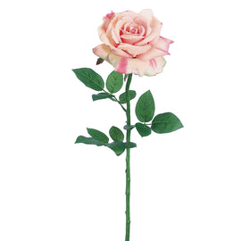 Princess Diana Rose Spray Pink + White