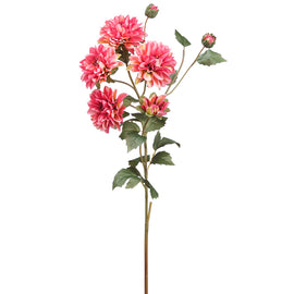 Bright Pink Dahlia Spray Rose