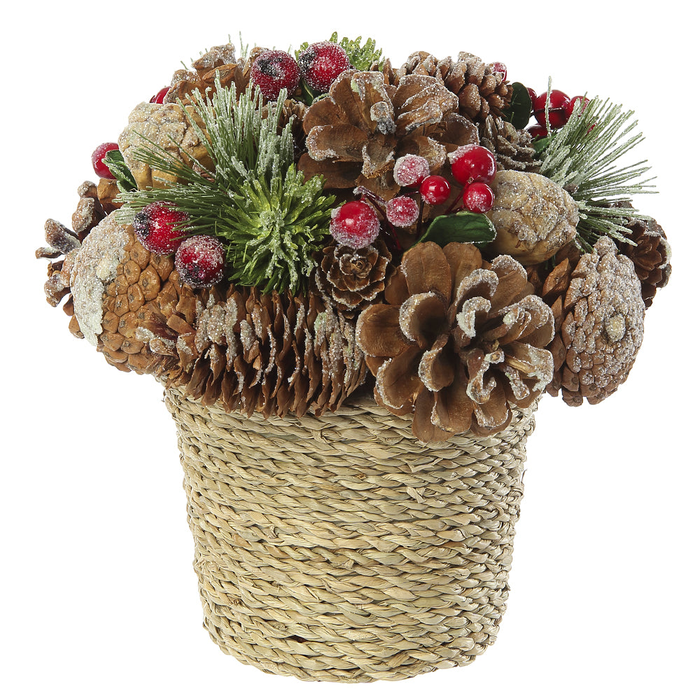 Berries and Pine in Basket