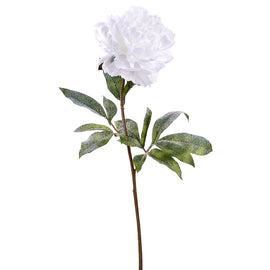 Snowy White Peony Spray