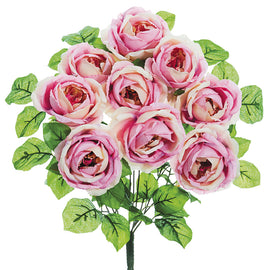 Heirloom Pink Rose Bush