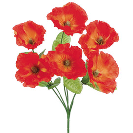 Red Poppy Bush