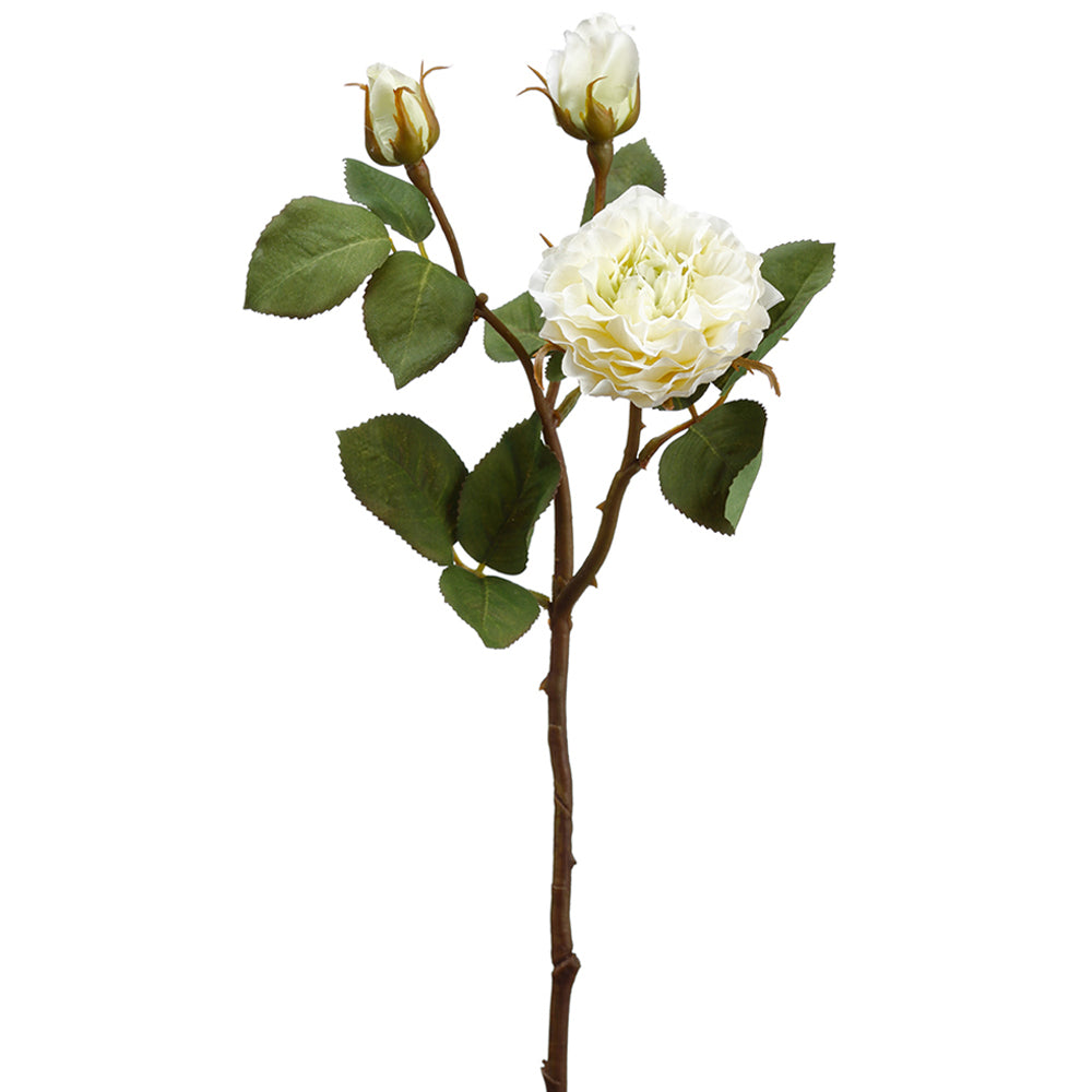 White Heirloom Rose Spray