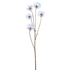 Iridescent Cosmo Spray