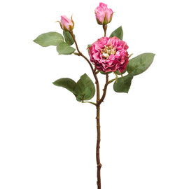 Pink Heirloom Rose Spray