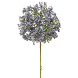 Mini Hydrangea Blossom