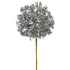 Mini Hydrangea Blossom