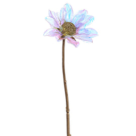Iridescent Gerber Daisy Spray