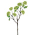 Green Snowball Hydrangea Spray
