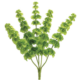 Bells Of Ireland Spray