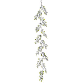 Ficus Garland