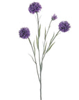 Blue or Violet Cornflower Sprays in Full Bloom
