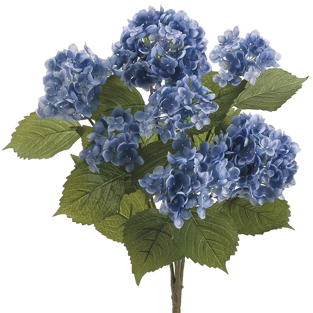 Deep Blue Hydrangea Bush