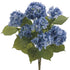 Deep Blue Hydrangea Bush