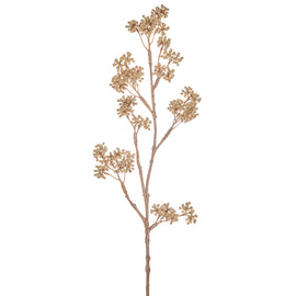 Amber Beauty Berry Seed Spray