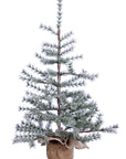 Mini Evergreen Tree