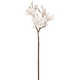 Snowy Magnolia Spray