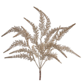 Glittered Taupe Astilbe Bush