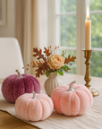 Velvet Pink Pumpkins